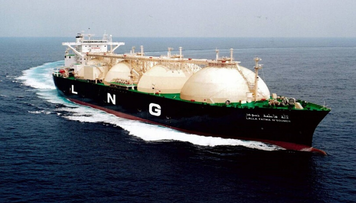 Tanzania Says LNG Project Could Cost Up To $30 bln